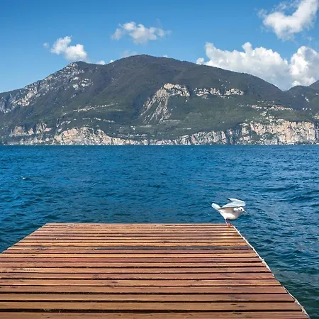 Mimosa-con Piscina E Vista Brenzone sul Garda
