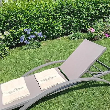 Mimosa-con Piscina E Vista *