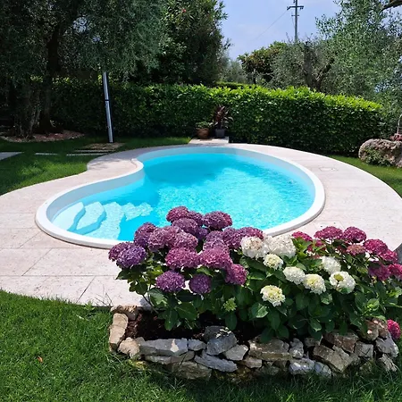 Mimosa-con Piscina E Vista * Бренцоне-суль-Гарда