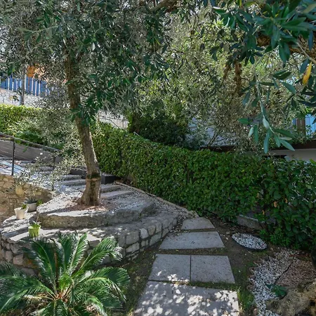 Mimosa-con Piscina E Vista Villa Brenzone